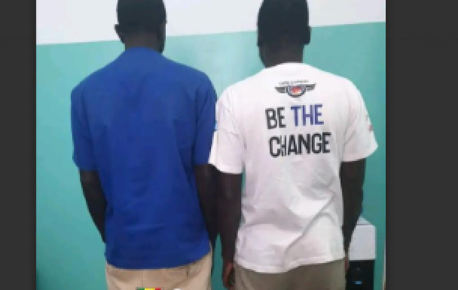 Arnaque en ligne : A Thiès, la police de Nginth démantèle un réseau QNET frauduleux Arnaque en ligne : A Thiès, la police de Nginth démantèle un réseau QNET frauduleux