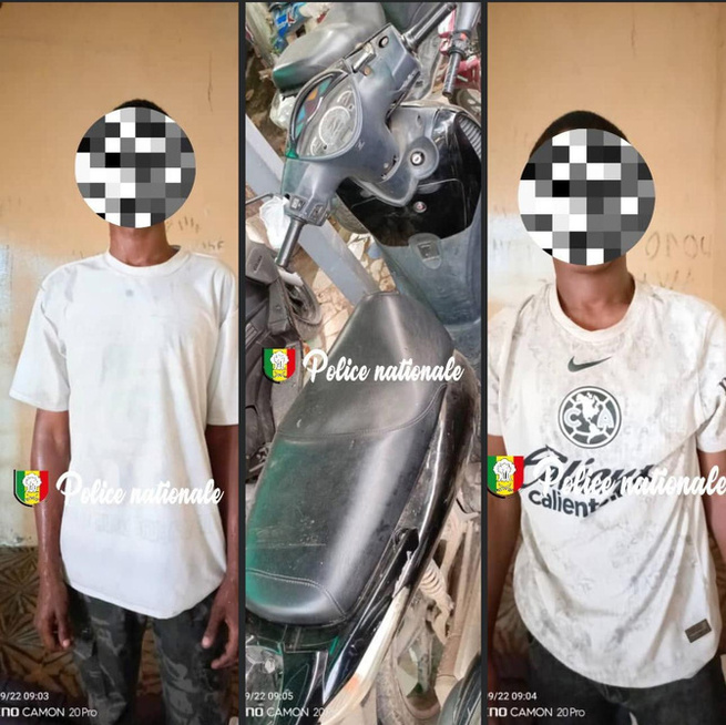 Sécurité publique : Des présumés malfaiteurs interpellés par la police à Grand-Dakar Sécurité publique : Des présumés malfaiteurs interpellés par la police à Grand-Dakar