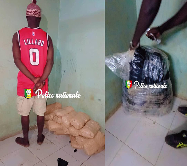 Saisie de 19 kg de chanvre indien à Rufisque : Un individu interpellé, son complice toujours recherché Saisie de 19 kg de chanvre indien à Rufisque : Un individu interpellé, son complice toujours recherché