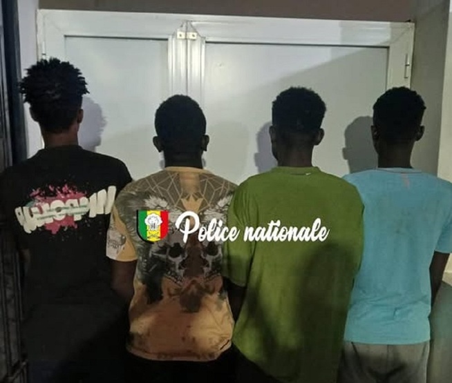 Cambriolage en réunion à Cambérène : quatre personnes arrêtées après le vol d’une moto Cambriolage en réunion à Cambérène : quatre personnes arrêtées après le vol d’une moto