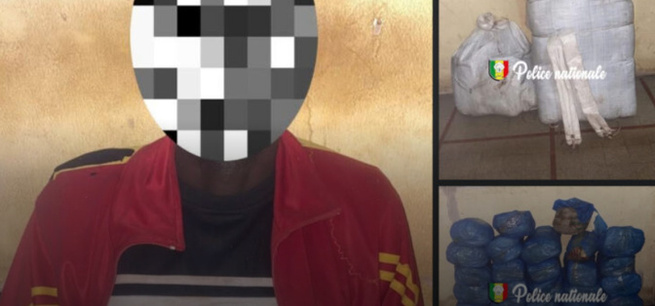 Kaolack : 29 kg de chanvre indien saisis lors d’une piège contre un réseau de trafic de drogue ciblé par l’OCRTIS Kaolack : 29 kg de chanvre indien saisis lors d’une piège contre un réseau de trafic de drogue ciblé par l’OCRTIS