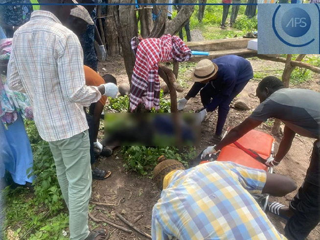 Mystère à Dioudoubou : tué par balle, un berger retrouvé au milieu de ses bœufs dans la brousse Mystère à Dioudoubou : tué par balle, un berger retrouvé au milieu de ses bœufs dans la brousse