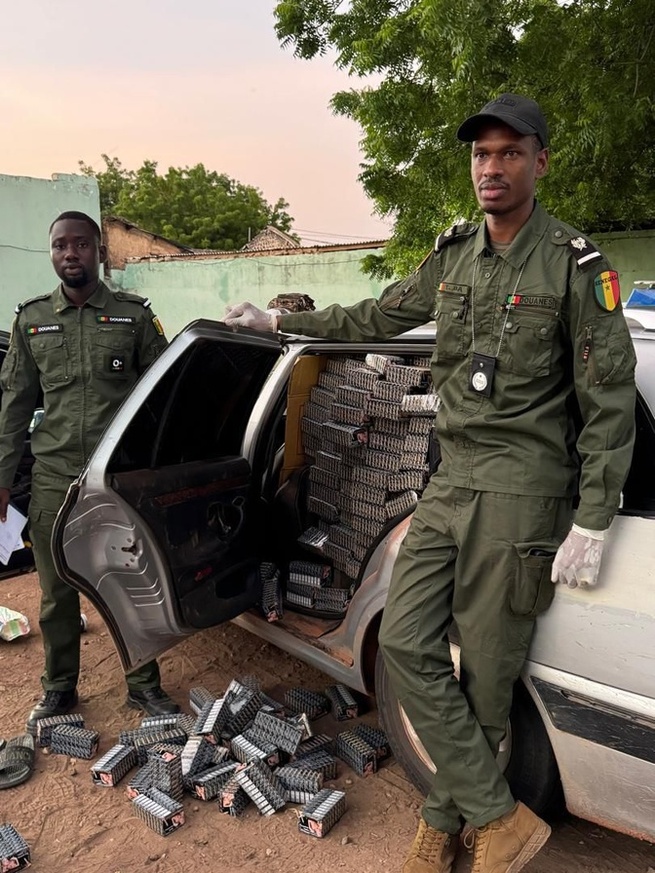 Douanes : Saisie de billets noirs à Dakar et de faux médicaments à Koungheul