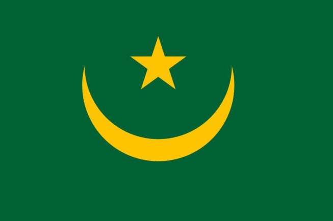 RÉFÉRENDUM : En Mauritanie, la coalition du Non remporte le scrutin RÉFÉRENDUM : En Mauritanie, la coalition du Non remporte le scrutin