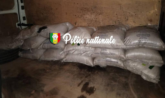 Interpellation pour association de malfaiteurs : Un groupe de malfrats surpris en plein vol avec effraction d’un dépôt Interpellation pour association de malfaiteurs : Un groupe de malfrats surpris en plein vol avec effraction d’un dépôt