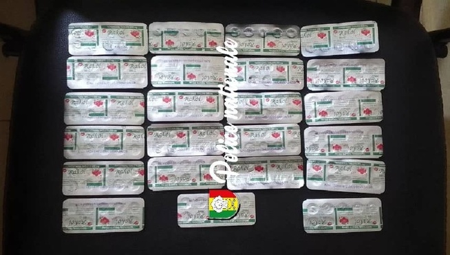 Tambacounda : La Brigade des Stupéfiants démantèle un réseau de Tramadol Tambacounda : La Brigade des Stupéfiants démantèle un réseau de Tramadol