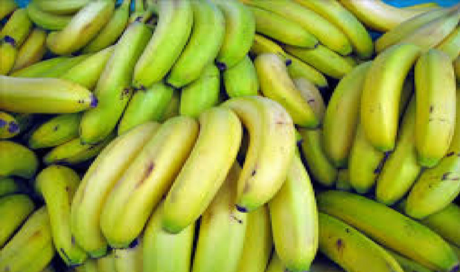 Mesure de promotion ses bananes locales : le gel des importations vire au cauchemar économique Mesure de promotion ses bananes locales : le gel des importations vire au cauchemar économique