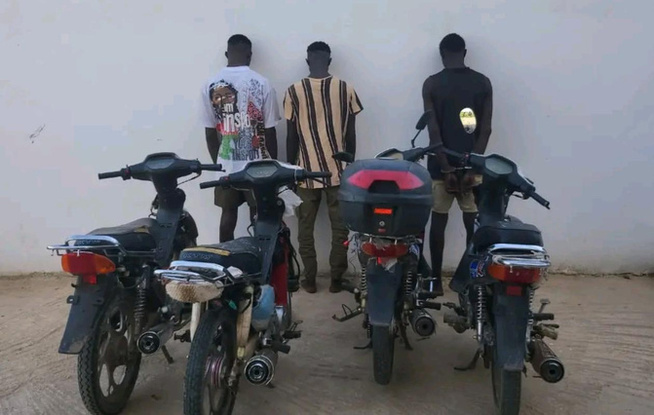 Kaolack : la police de Ndorong met la main sur un trio de voleurs de motos Kaolack : la police de Ndorong met la main sur un trio de voleurs de motos