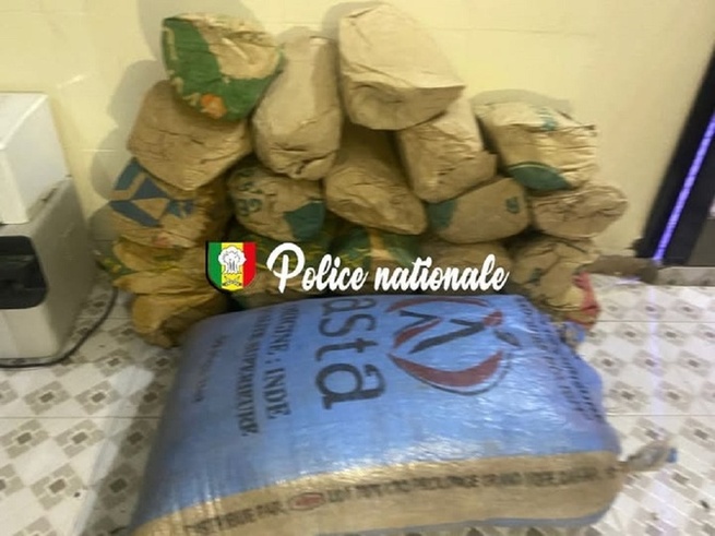 Lutte antidrogue : la Brigade régionale frappe fort à Kolda, 47 kg de chanvre indien saisis Lutte antidrogue : la Brigade régionale frappe fort à Kolda, 47 kg de chanvre indien saisis