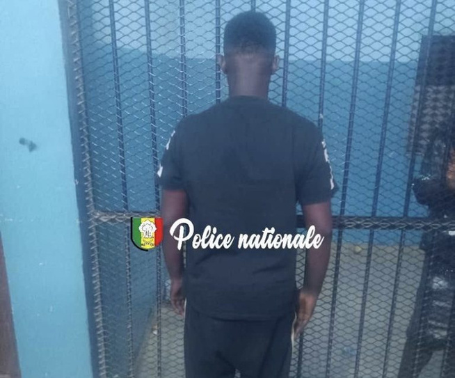 Accident dans le tunnel de Fann : Un chauffeur d’autocar déféré pour délit de fuite, après avoir blessé un motard Accident dans le tunnel de Fann : Un chauffeur d’autocar déféré pour délit de fuite, après avoir blessé un motard