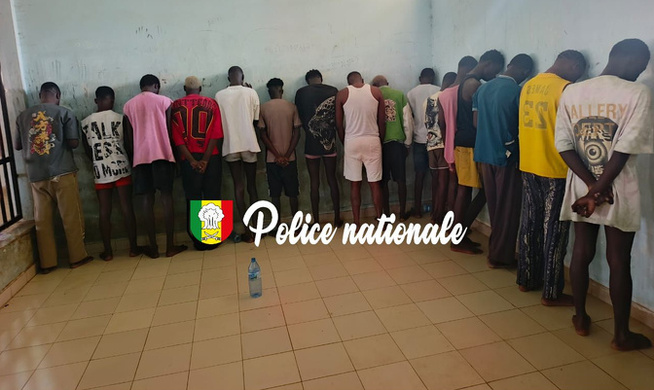 Actes contre nature, détention et usage de drogue : Arrestations de 17 personnes, dont une femme