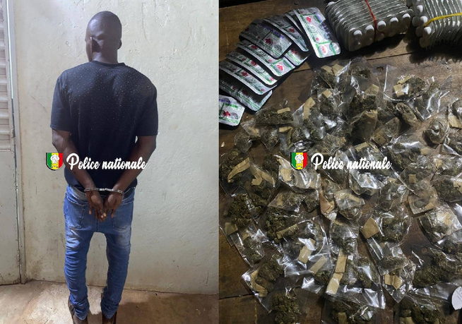Kédougou – Trafic de drogues : La BRS saisit du Tramadol et du Kush à Kharakhena Kédougou – Trafic de drogues : La BRS saisit du Tramadol et du Kush à Kharakhena