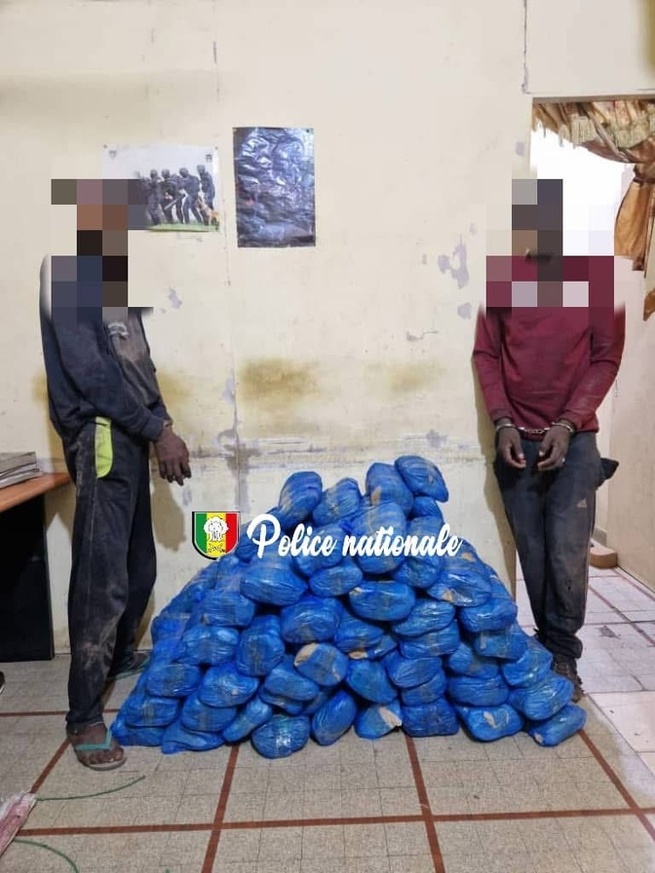 Kaolack : deux personnes arrêtées avec 83 kilos de chanvre indien à leur disposition Kaolack : deux personnes arrêtées avec 83 kilos de chanvre indien à leur disposition