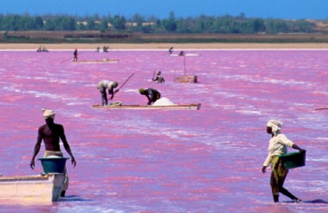 Lac Rose : La société civile refuse un urbanisme au détriment de l’écosystème et alerte...