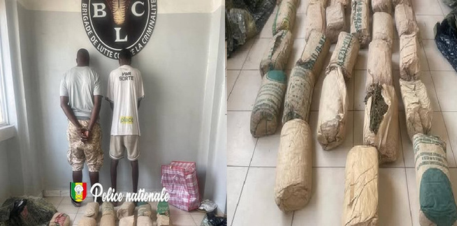Pikine Guinaw Rails : Deux individus interpellés par la police, pour détention, trafic de chanvre indien Pikine Guinaw Rails : Deux individus interpellés par la police, pour détention, trafic de chanvre indien