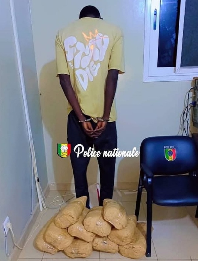 Rufisque : La Police interpelle un individu pour détention et trafic de chanvre indien, portant sur 10 kg. Rufisque : La Police interpelle un individu pour détention et trafic de chanvre indien, portant sur 10 kg.