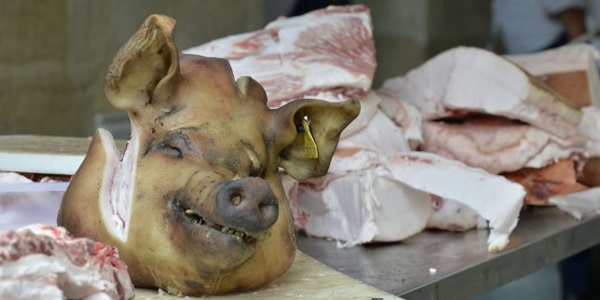 France : deux têtes de porc découvertes sur les grilles de la résidence de l’ambassadeur du Maroc France : deux têtes de porc découvertes sur les grilles de la résidence de l’ambassadeur du Maroc