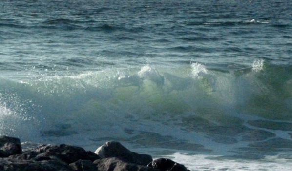 Portée disparue depuis le 1er mars dernier, la petite Mariama Cissé retrouvée morte à la plage Portée disparue depuis le 1er mars dernier, la petite Mariama Cissé retrouvée morte à la plage