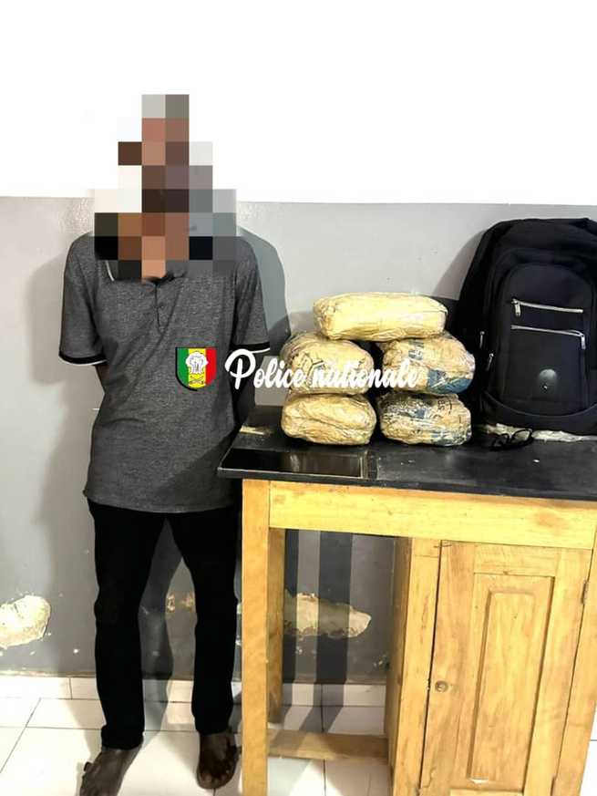 Sédhiou : Un individu interpellé avec 20 kg de chanvre indien Sédhiou : Un individu interpellé avec 20 kg de chanvre indien