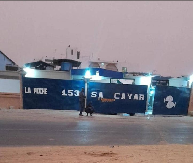 Licenciement abusif et violation du code du travail : Le collectif des travailleurs de Pêche 153 de Cayar accable leur patron, Joeng Kim Licenciement abusif et violation du code du travail : Le collectif des travailleurs de Pêche 153 de Cayar accable leur patron, Joeng Kim