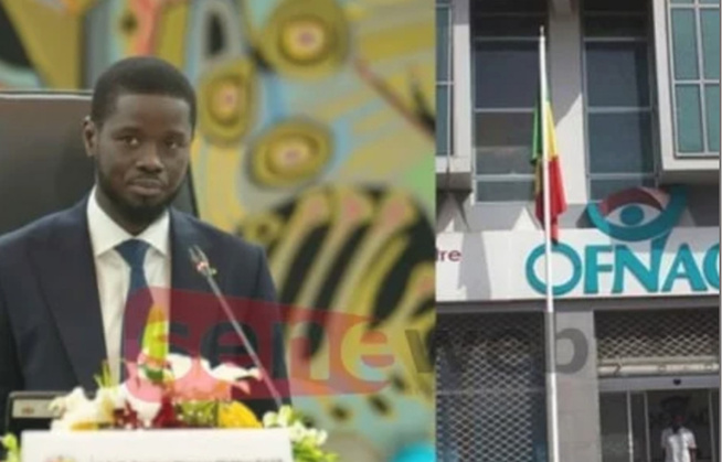 OFNAC : Le Président Bassirou Diomaye Faye nomme 12 nouveaux membres OFNAC : Le Président Bassirou Diomaye Faye nomme 12 nouveaux membres