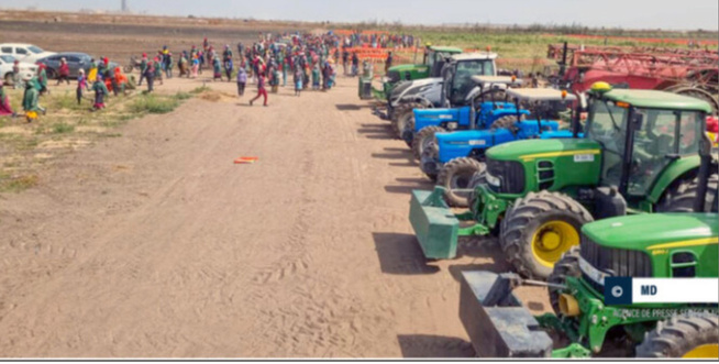 Affaire QVS/SNV : Comment Ousmane Sonko a été induit en erreur Affaire QVS/SNV : Comment Ousmane Sonko a été induit en erreur