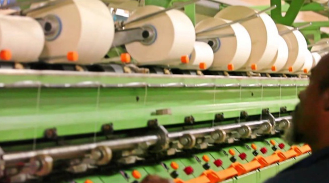 Sénégal : L'emploi salarié dans le secteur moderne recule de 7,0% à fin août 2025