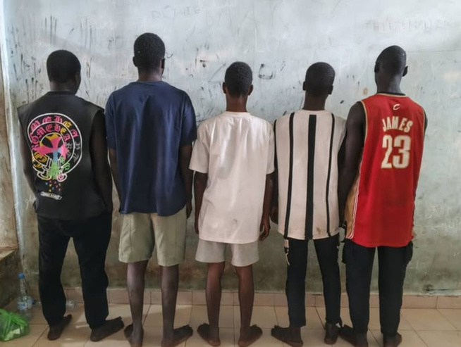 Téléphone volé : Cinq arrestations à la Cité Mixta, après le retrait de 500 000 FCfa sur Wave