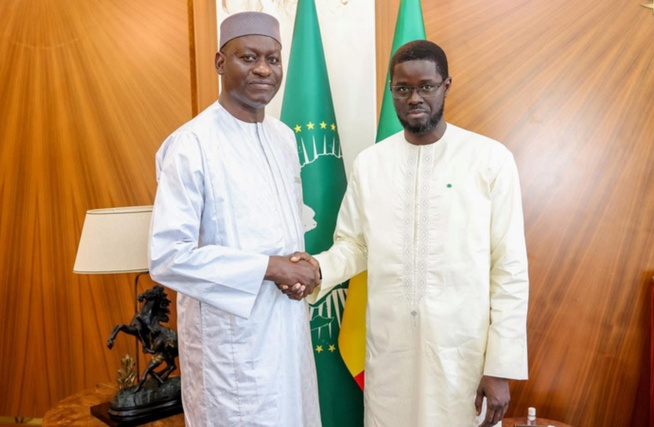 Préparation des JOJ Dakar 2026 : Le Président Faye reçoit Abass Fall et son équipe Préparation des JOJ Dakar 2026 : Le Président Faye reçoit Abass Fall et son équipe