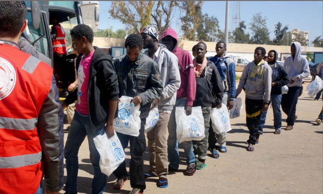 Migrants de retour au Sénégal : L’OIM expose le mécanisme national d’orientation Migrants de retour au Sénégal : L’OIM expose le mécanisme national d’orientation