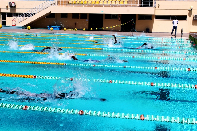 Natation - AG ordinaire de la fédération, ce dimanche : Trois postulants à la présidence