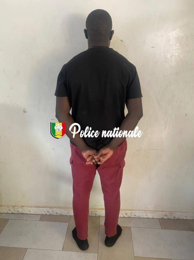 Fatick : un faux agent des FDS arrêté pour une série de vols de motos Jakarta Fatick : un faux agent des FDS arrêté pour une série de vols de motos Jakarta