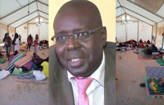 Trop de morts, Trop de silence : HSF appelle à un Etat Sénégalais plus offensif dans la protection de ses citoyens !!! Trop de morts, Trop de silence : HSF appelle à un Etat Sénégalais plus offensif dans la protection de ses citoyens !!!