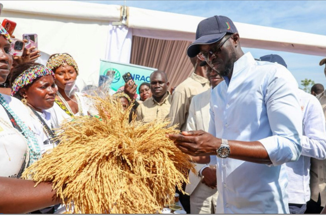 Agenda de Transformation nationale : Une dynamique en marche