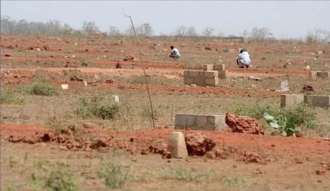 Mbane : Des populations s'opposent à l'attribution de 1000 hectares à une entreprise
