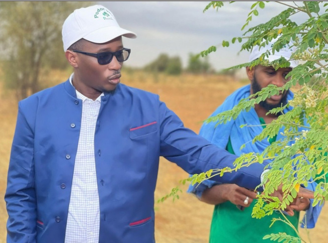 Bassirou Hamédine Sy, Pdt de l'Association « Podor Vert » : Une fibre écologique au cœur du développement communautaire au Fouta