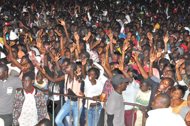 En images St Louis vibre au rythme du Pape de la musique Sénégalaise. Pape Diouf draine du monde à Ndar. Regardez En images St Louis vibre au rythme du Pape de la musique Sénégalaise. Pape Diouf draine du monde à Ndar. Regardez