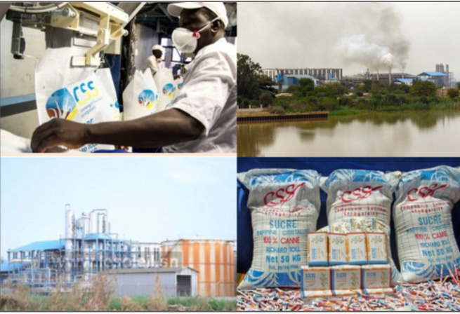 Concurrence déloyale et afflux massif de sucre importé : La CSS, un fleuron menace de fermeture par l’anarchie des Dipa , 8000 emplois en jeu