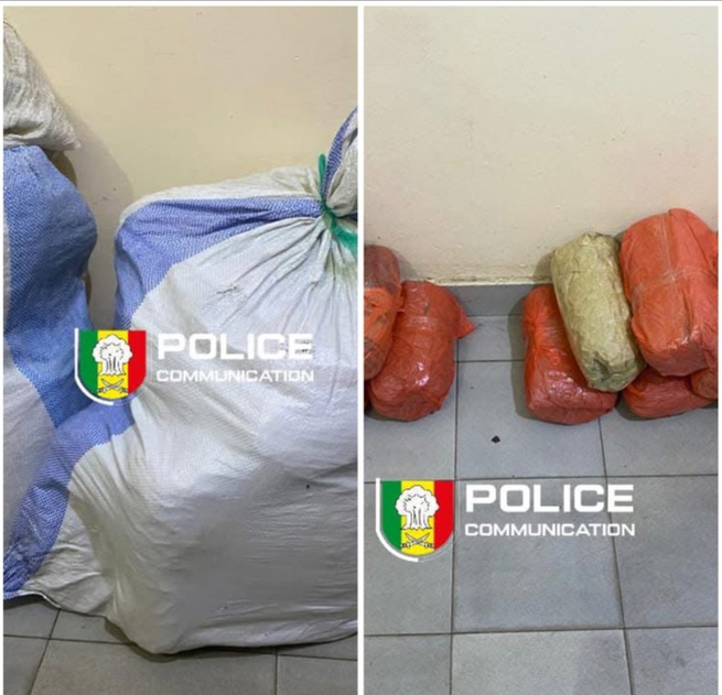 Fatick : Saisie de 24 kg de chanvre indien à Sirmang par la BRS