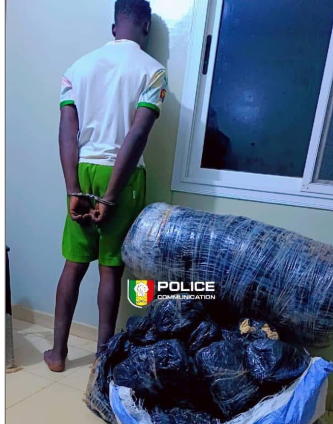 Trafic de chanvre indien: Deux individus arrêtés Trafic de chanvre indien: Deux individus arrêtés