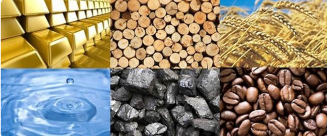 Marché mondial des matières premières : Repli généralisé des prix en octobre 2025 Marché mondial des matières premières : Repli généralisé des prix en octobre 2025