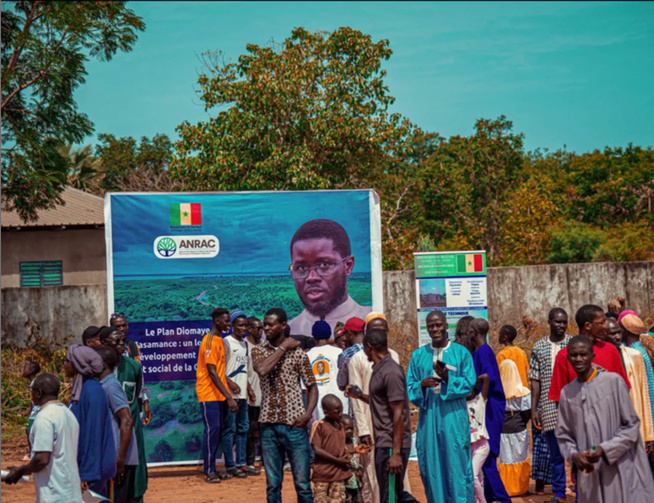 Mise en œuvre du Plan Diomaye en Casamance : Kolda affiche un taux d’exécution de 32 %