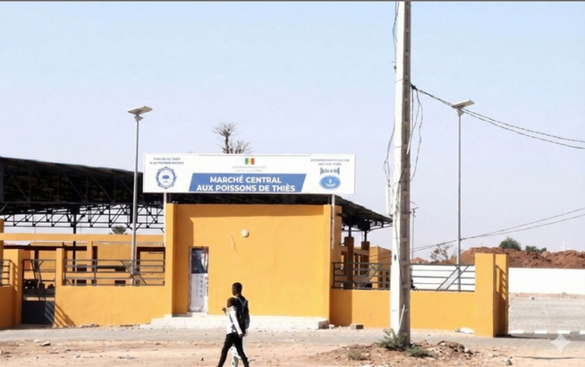 Marché central au poisson de Thiès : La mémoire des faits, la continuité de l’Etat