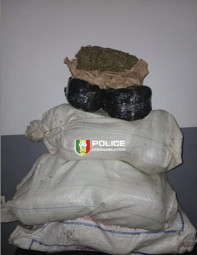 Saisie de 24 kg de chanvre indien et d’une moto de marque Safari à Komoya Saisie de 24 kg de chanvre indien et d’une moto de marque Safari à Komoya