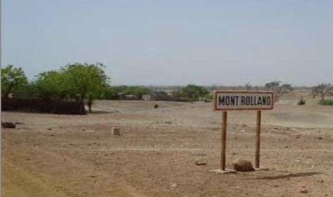 Mont-Rolland : Sept individus poursuivis pour association de malfaiteurs et trafic de chanvre indien Mont-Rolland : Sept individus poursuivis pour association de malfaiteurs et trafic de chanvre indien