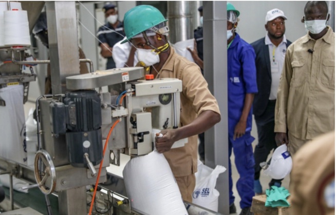 Sénégal : Hausse de 0,8% du Pib réel au troisième trimestre 2025 Sénégal : Hausse de 0,8% du Pib réel au troisième trimestre 2025