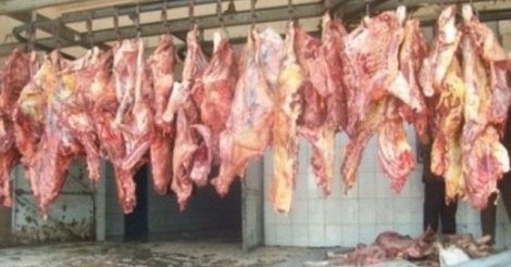 Abattages clandestins – «50% de la viande consommée à Dakar provient de circuits clandestins» Abattages clandestins – «50% de la viande consommée à Dakar provient de circuits clandestins»