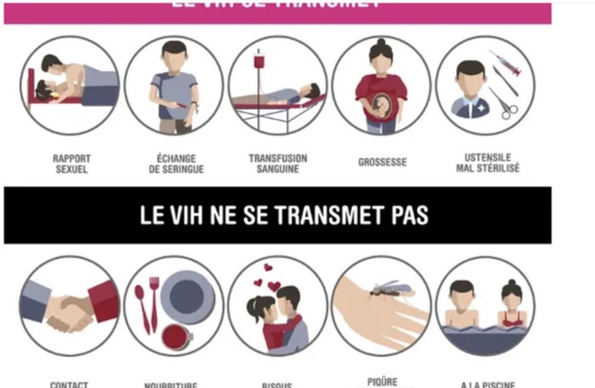 VIH / SIDA : Comment le virus se transmet réellement (et ce qui est faux) VIH / SIDA : Comment le virus se transmet réellement (et ce qui est faux)