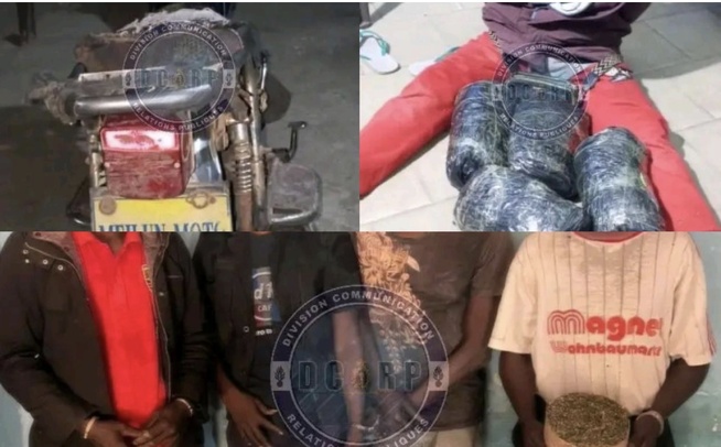 Lutte contre le trafic de drogue : cinq individus interpellés à Sédhiou avec cinq kilos de chanvre indien Lutte contre le trafic de drogue : cinq individus interpellés à Sédhiou avec cinq kilos de chanvre indien
