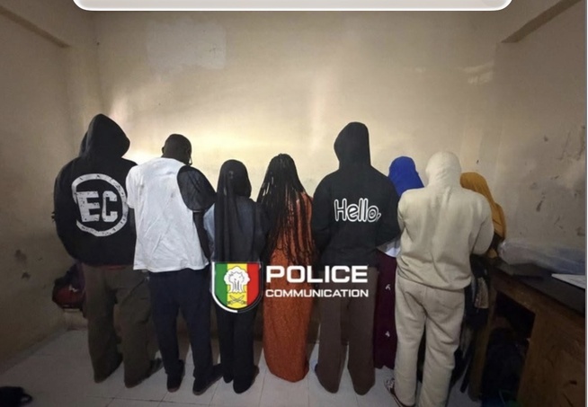 La DSC démantèle un réseau de vente de pilules abortives sur TikTok La DSC démantèle un réseau de vente de pilules abortives sur TikTok